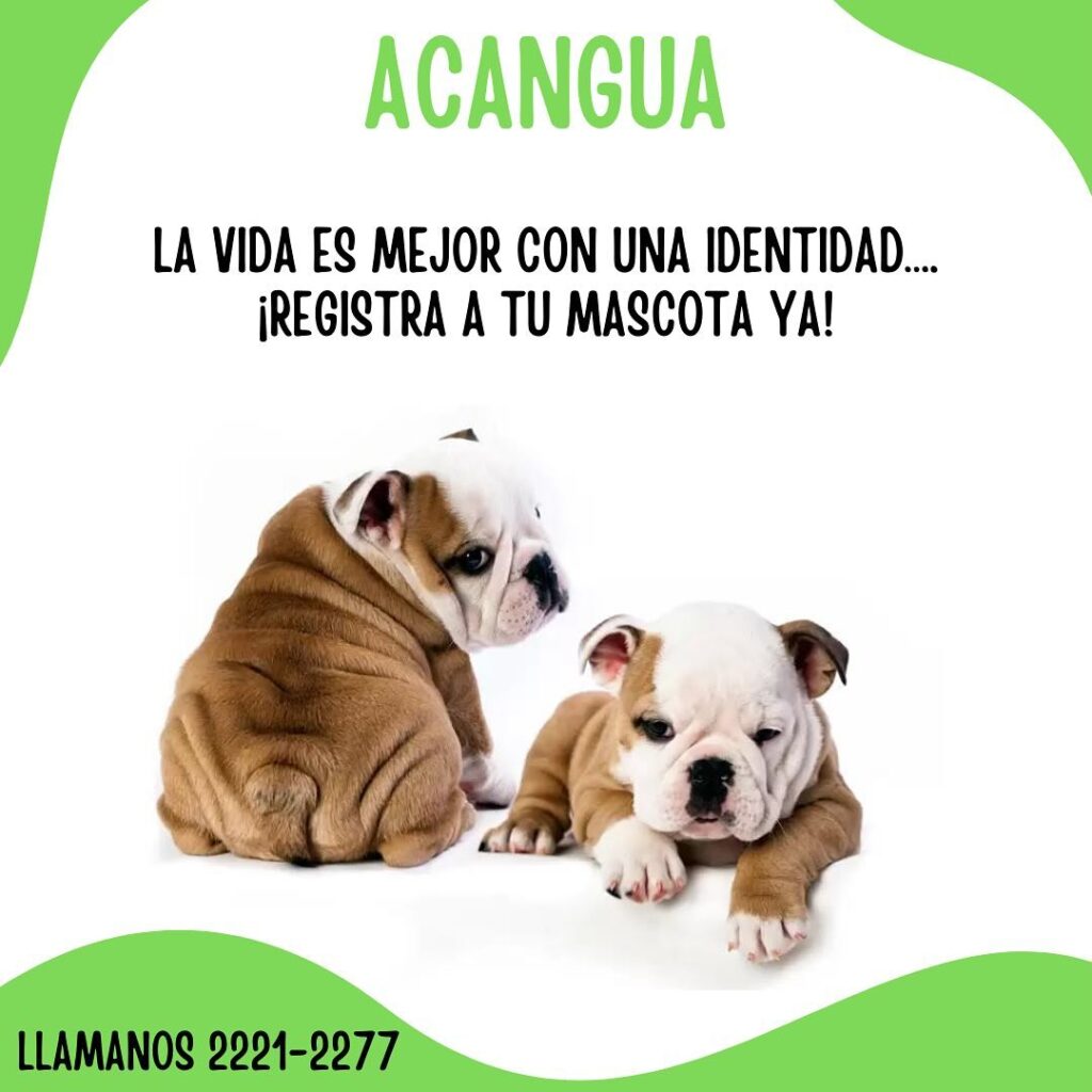 Acangua Registro Genealogico